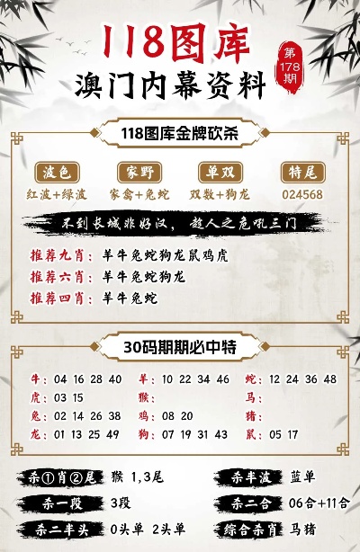 澳门管家婆100%精准资料图片大全,全面释义、解释与落实-警惕虚假宣传